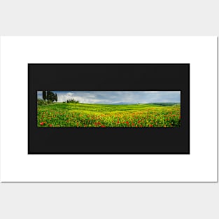 Poppies in a field in Tuscany, Italy Posters and Art